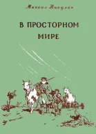 В просторном мире