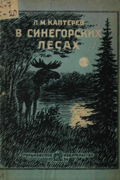 В Синегорских лесах