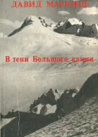 В тени Большого камня  Роман