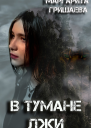 В тумане лжи