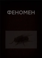 Вадим Астанин Странное дело детектива Кайсара