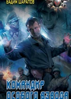 Вадим Шарапов Командир особого взвода