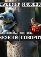 Ведьмак 23го века Резкий поворот