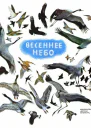 Весеннее небо