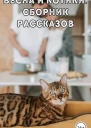 Весна и котики