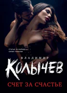 Владимир Колычев Счет за счастье