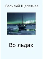 Во льдах