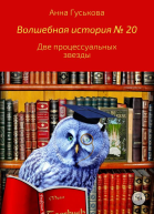 Волшебная история  20 Две процессуальных звезды