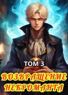Возвращение некроманта Том 3 СИ