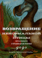Возвращение ненормальной птицы
