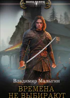 Времена не выбирают  Владимир Малыгин