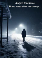 Всего лишь один пассажир