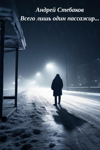 Всего лишь один пассажир