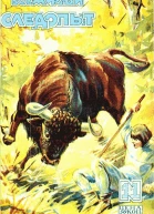 Всемирный следопыт 1929  11