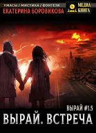 Вырай 15 Встреча