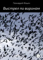 Выстрел по воронам