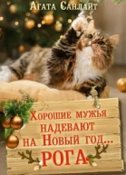 Хорошие мужья надевают на Новый год рога СИ
