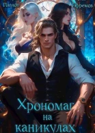 Хрономаг на каникулах СИ
