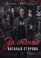 За стеной СИ