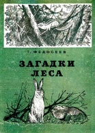 Загадки леса
