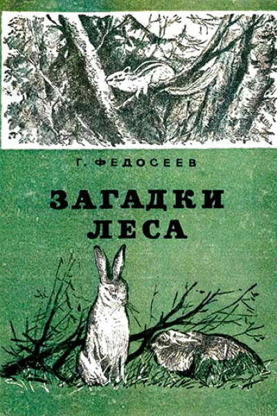 Загадки леса