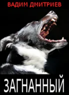 Загнанный СИ
