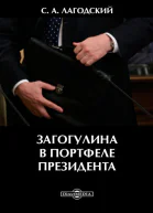 Загогулина в портфеле президента Монография