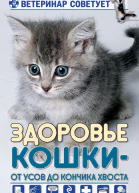 Здоровье кошки от усов до кончика хвоста  Т Михайлова