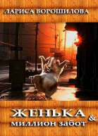 Женька и миллион забот СИ