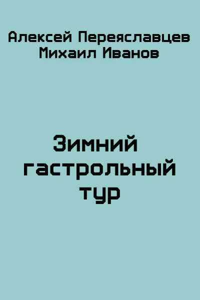 Зимний гастрольный тур