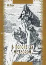 Жюль Верн В погоне за метеором