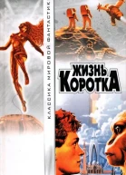 Жизнь коротка