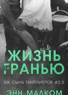Жизнь за гранью
