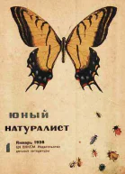 Журнал Юный натуралист 1 1936