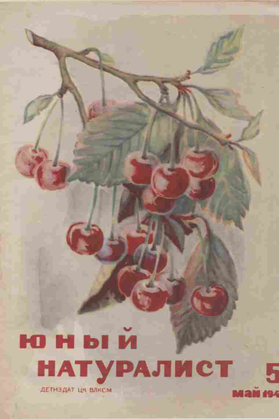 Журнал Юный Натуралист 5 1940