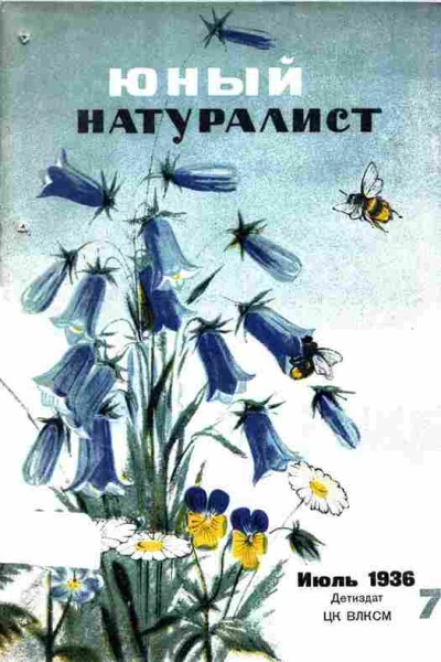 Журнал Юный Натуралист 7 1936