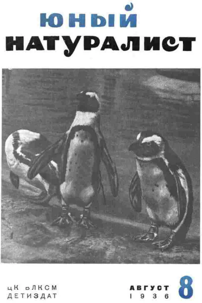 Журнал Юный Натуралист 8 1936